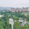 梦见殴打西宁市举办六五环境日主题宣传活动