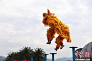 梦见殴打（文化中国行）壮乡狮舞闯南洋：脚踏“云桩” 饮誉海内外